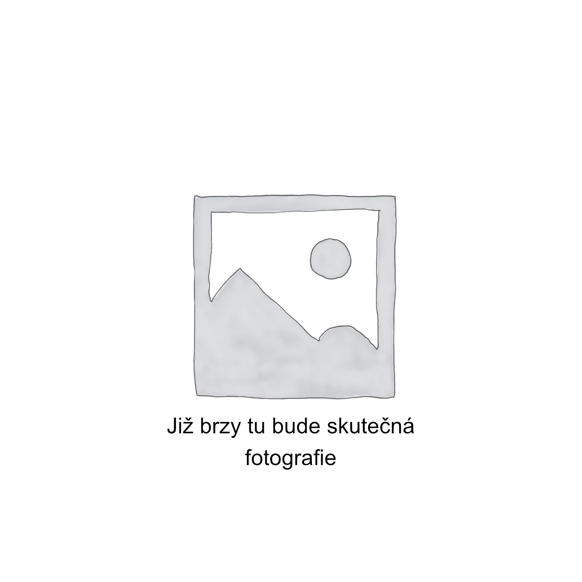 Zástupný symbol